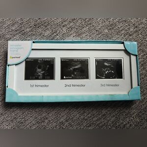 Trimester Sonogram frame